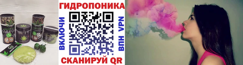 Cannafood конопля  Купить  Моршанск 