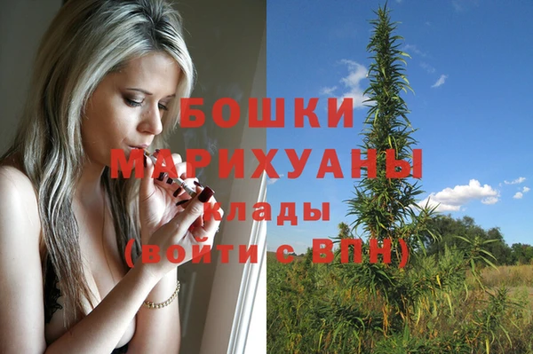 spice Липки