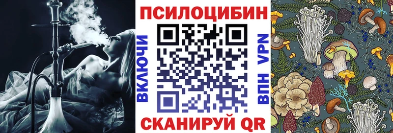 Псилоцибиновые грибы MAGIC MUSHROOMS  Купить  Моршанск 